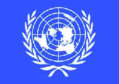 O.N.U. drapeau