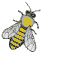 L'abeille
