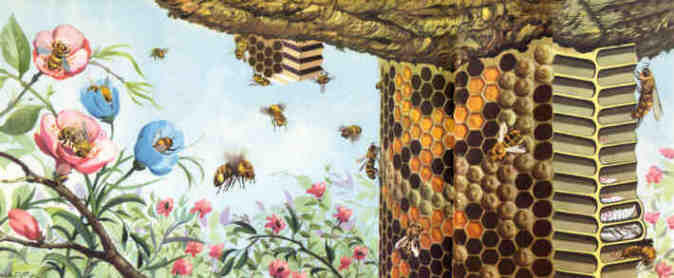Art du Temps Libre, la ruche