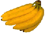 banane miraculeuse banane
